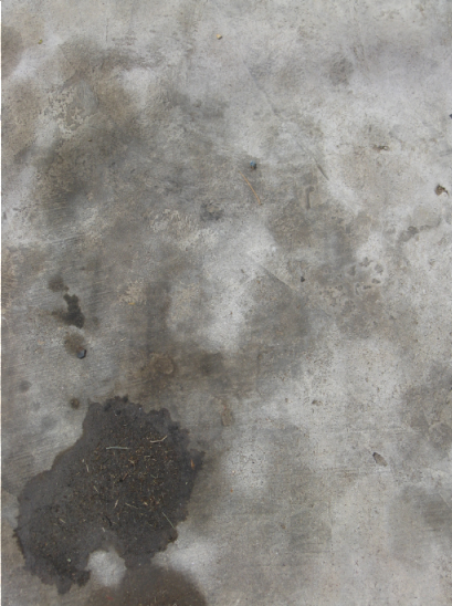 oil stain